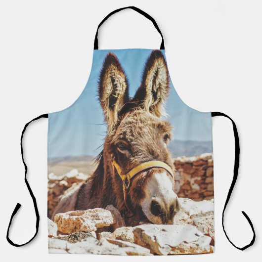 TABLIER HI DONKEY (Recto)