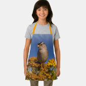 Tablier Joli Bruant blanc couronné assis sur le Tansy (Insitu)