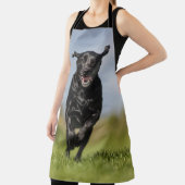Tablier Joyeux Black Labrador Retriever Courir sur le tabl (Insitu)