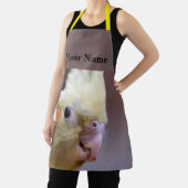 Tablier Joyeux tiel (Insitu)