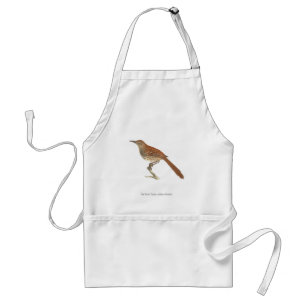 Tablier La Grive Brown ou le Trasher Brown, New York Birds