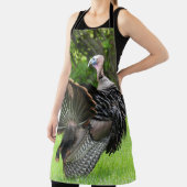 Tablier La Turquie, grand angle (Insitu)