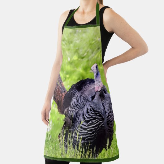 Tablier La Turquie, grand angle (Insitu)