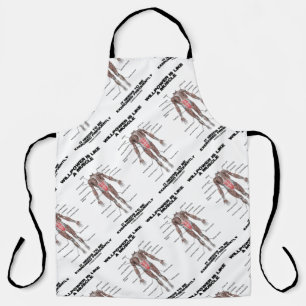 Tablier La Volonté Est Comme Un Muscle Qui Doit Être Exerc