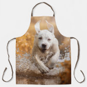 Tablier Labrador Retriever Running in River Apron (Recto)