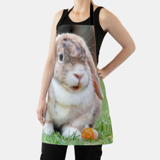 Tablier lapin à oreilles de lop mignon (Insitu)