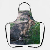 Tablier Lapin Brown, Repos dans la nature (Recto)