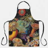 Tablier L'art de la nature par Ernst Haeckel Apron (Recto)