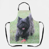 Tablier Le Caire (Recto)