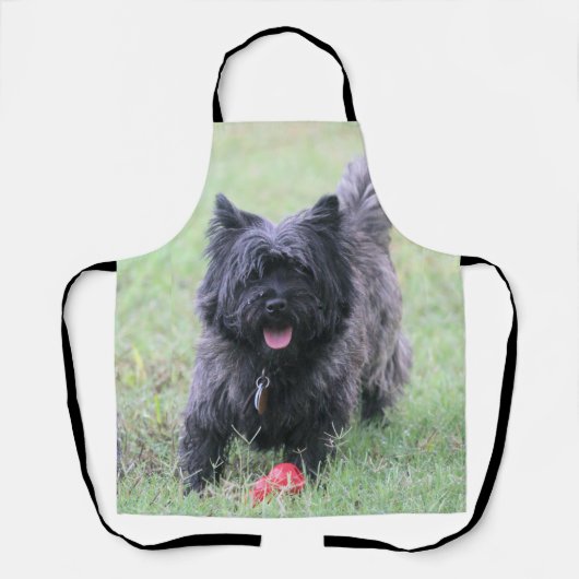 Tablier Le Caire (Recto)