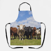 Tablier Les bovins sur le terrain (Recto)