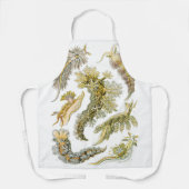 Tablier Limaces de mer par Ernst Haeckel, Nudibranches vin (Recto)