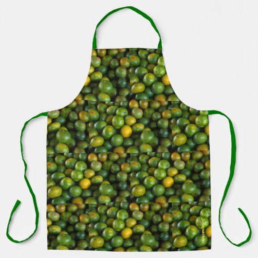 Tablier Limites (Recto)