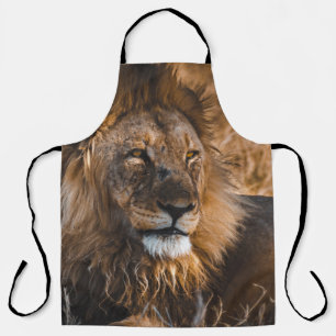 TABLIER LION DANS LE PARC NATIONAL D'ETOSHA