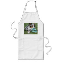 Blue_Merle_Miniature_American_Shepherd aime w pict