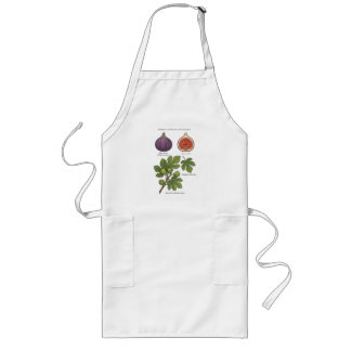 Tablier Long Planche Botanique Figue Ficus Carica