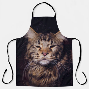 Tablier maine coon sur un arrière - plan noir