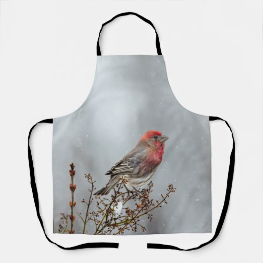 Tablier Maison Finch en Neige - Photo originale (Recto)