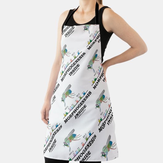 Tablier Morphogenèse à l'intérieur de Drosophila Fruit Gèn (Insitu)