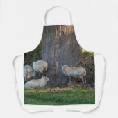 Tablier Mouton de Cotswold (Recto)