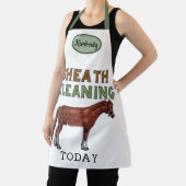 Tablier nettoyage de la gaine aujourd'hui (Insitu)