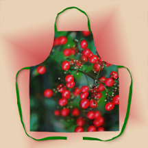 Noël est les baies !