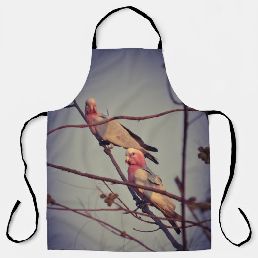 Tablier Oiseaux de Galah dans l'arbre 1 (Recto)