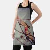 Tablier Oiseaux de Galah dans l'arbre 2 (Insitu)