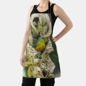 Tablier Olive Backed Euphonia, Belize Bird (Insitu)