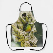 Tablier Olive Backed Euphonia, Belize Bird (Recto)