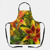 Tablier Orange Daylily Canadian Flower Photography (Recto)