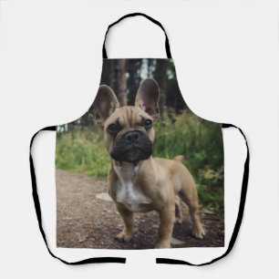 Tablier Oreiller à lancer de chien de taureau français