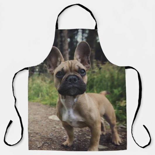 Tablier Oreiller à lancer de chien de taureau français (Recto)