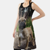 Tablier Oreiller à lancer de chien de taureau français (Insitu)