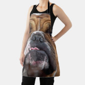 Tablier Oreillers à lancer de Bulldog anglais (Insitu)