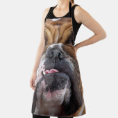 Tablier Oreillers à lancer de Bulldog anglais (Insitu)