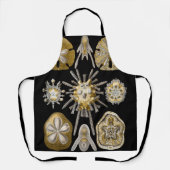 Tablier Oursins de mer anciens dollars de sable par Ernst (Recto)
