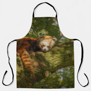 TABLIER PANDA ROUGE SUR BRANCHE ARBRE VERT
