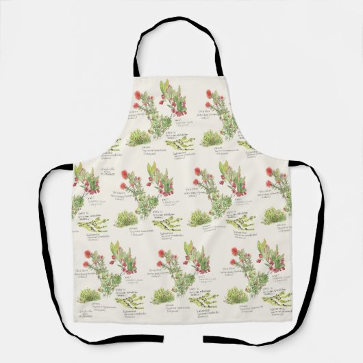 Tablier Parc national des volcans de l'île d'Hawaï (Recto)