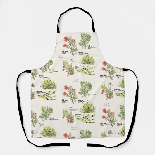 Tablier Parc national des volcans de l'île d'Hawaï (Recto)