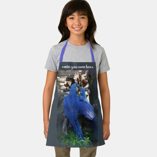 tablier _ perroquets (Insitu)