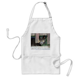 Tablier Photo cat, animal de compagnie, animaux 0008.