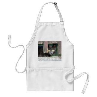 Tablier Photo cat, animal de compagnie, animaux 0008.