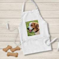 Photo et nom du chien Beagle personnalisé