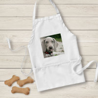 Photo et nom du chien Weimaraner personnalisé