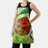 Tablier Physalis alkekengi sur toute l'impression (Insitu)