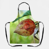 Tablier Physalis alkekengi sur toute l'impression (Recto)