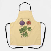 Tablier Planche Botanique Figue Ficus Carica (Recto)