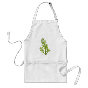Tablier Plante Dill Apron