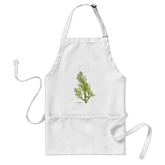 Tablier Plante Dill Apron (Devant)